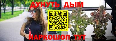 шишки Будённовск