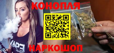 шишки Будённовск