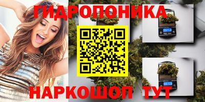 шишки Будённовск