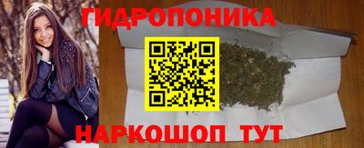 шишки Будённовск