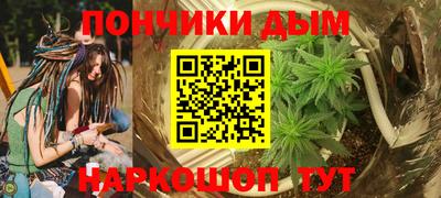 шишки Будённовск
