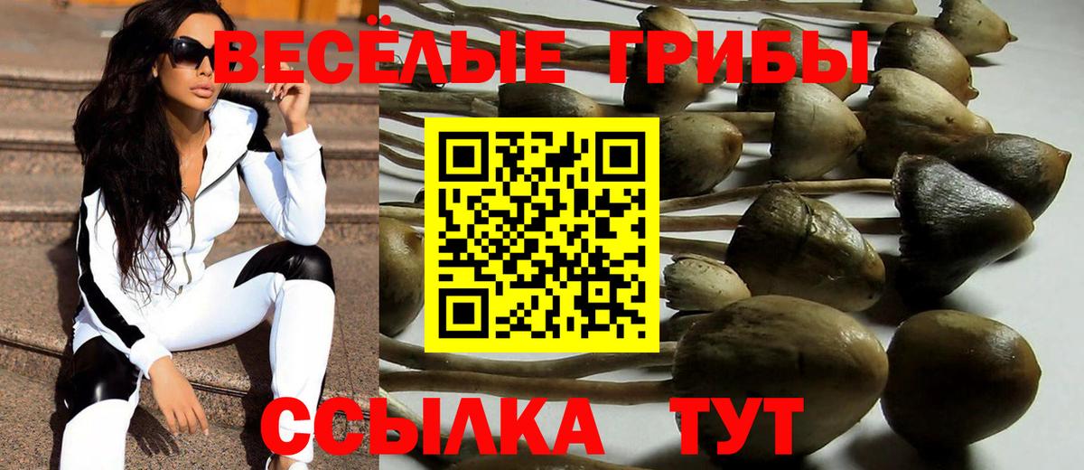 Шебекино  Псилоцибиновые грибы ЛСД  Вход с VPN 